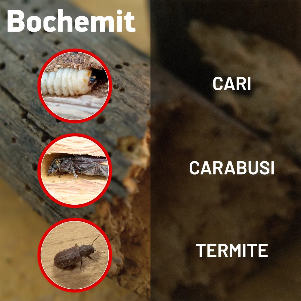 Solutie eradicare insecte Bochemit Plus I - concentrat pentru eradicarea carilor, carabusilor si altor insecte daunatoare din lemnul atatcat
