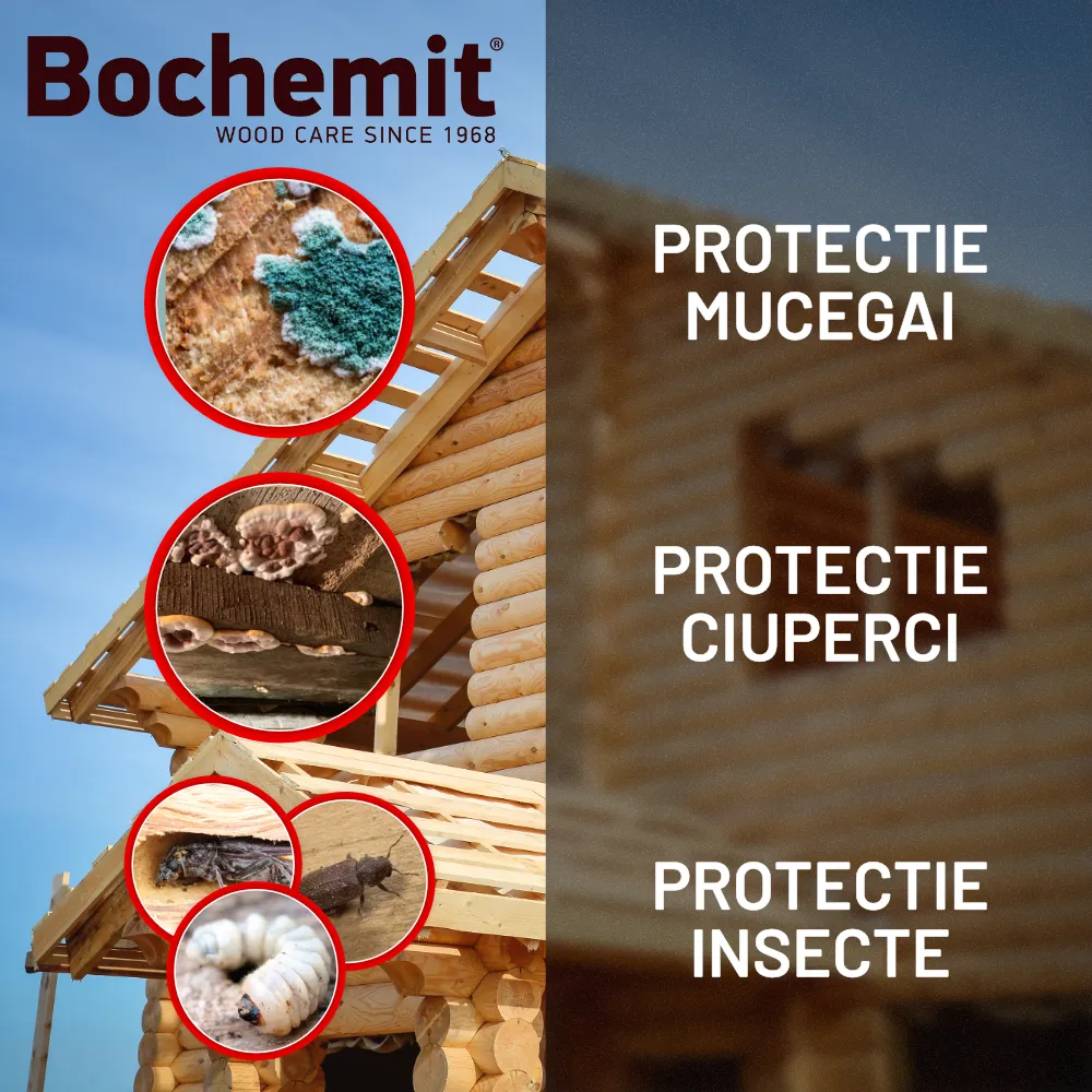 Bochemit Opti F+t transparent 1000 kg – solutie concentrata protectie lemn impotriva ciupercilor, mucegaiului si insectelor xilofage