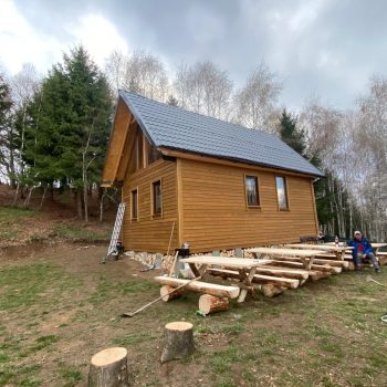 cabane_estetik_stejar_4
