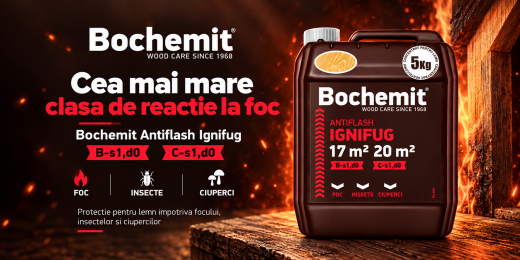 ignifugare lemn