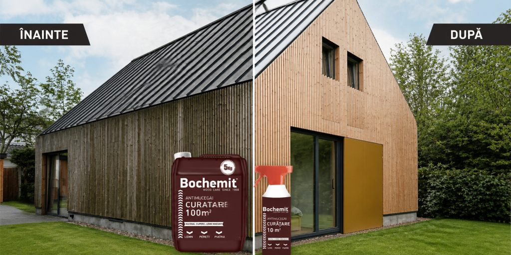 tratament lemn exterior